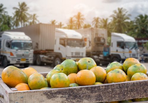 Orange Fruit and food distribution, tropical fruit of Thailand .Truck loaded with containers reefer control by ventilator mode to be shipped to the market.